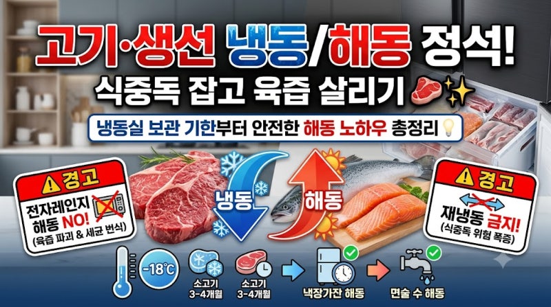 [실생활/팁] 육류 & 생선 올바른 냉동·해동법! 식중독 예방하고 맛 살리는 핵심 정리