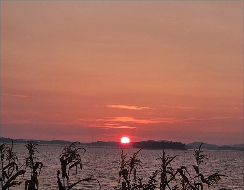바다노을펜션 사진 3