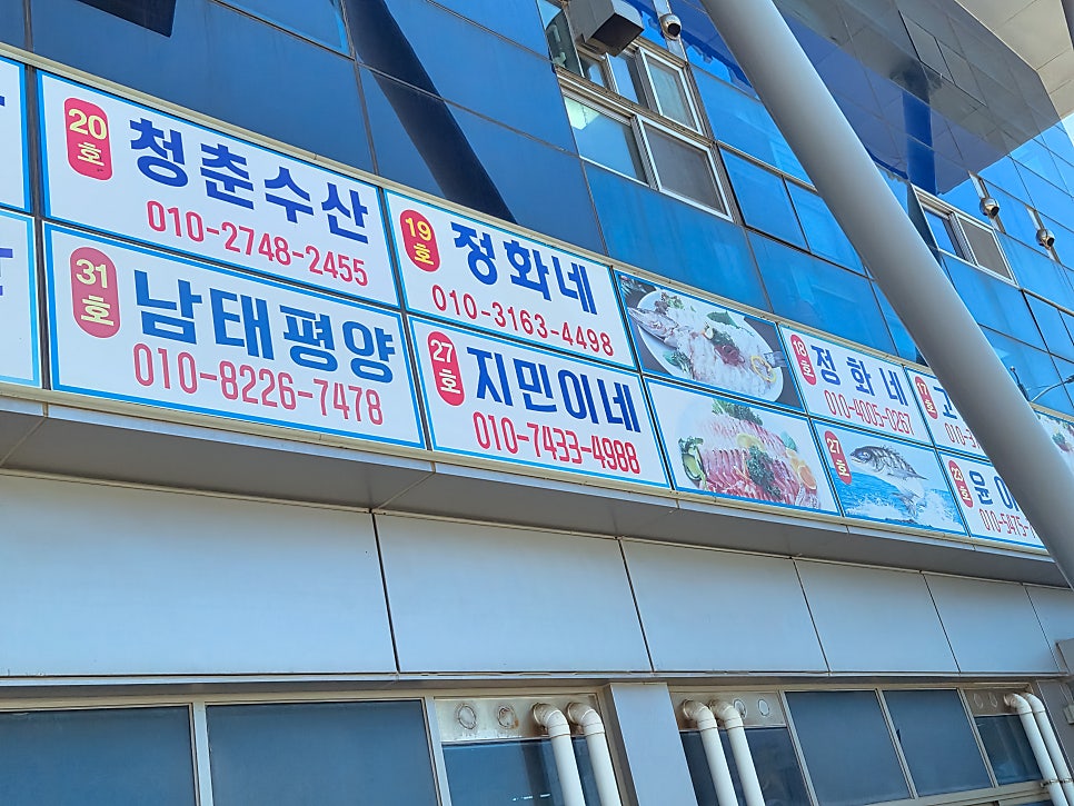 정화네 사진 3