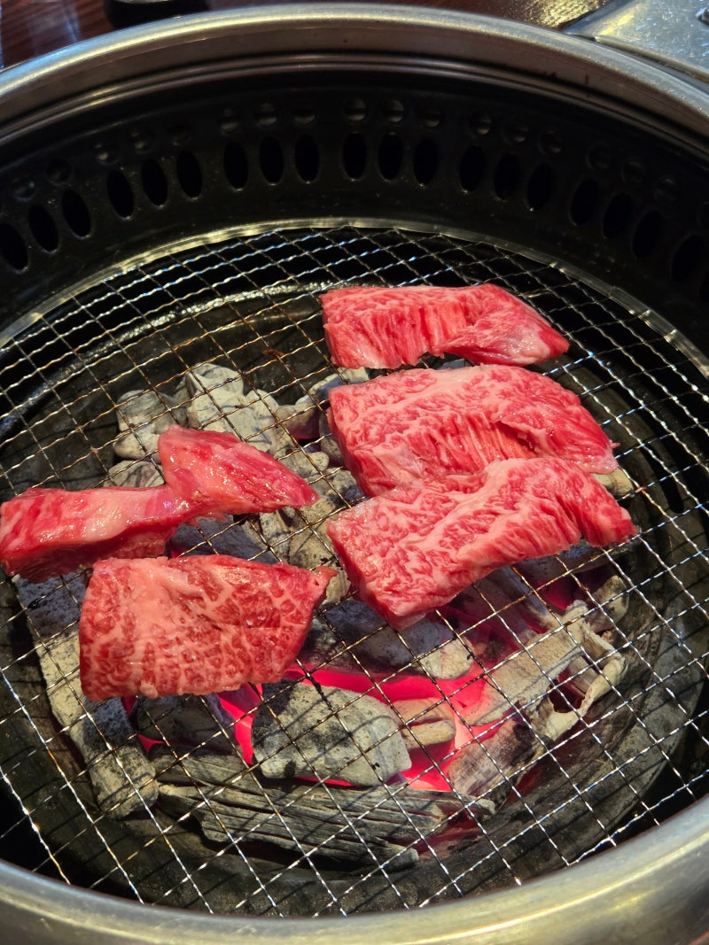 [청송] 경북 청송 소노벨 청송 근처 소고기 맛집 추천, 청송 가족모임 장소 추천_청하누