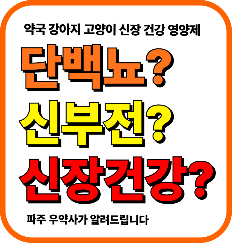파주 고양이 강아지 신장 건강 영양보조제 아미나바스트 성분 효과 급여방법 동물약국