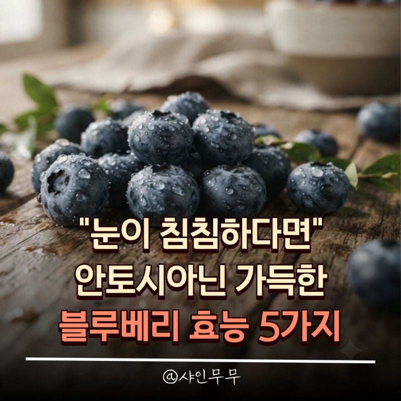 "눈이 침침하다면" 안토시아닌 가득한 블루베리 효능 5가지와 보관법
