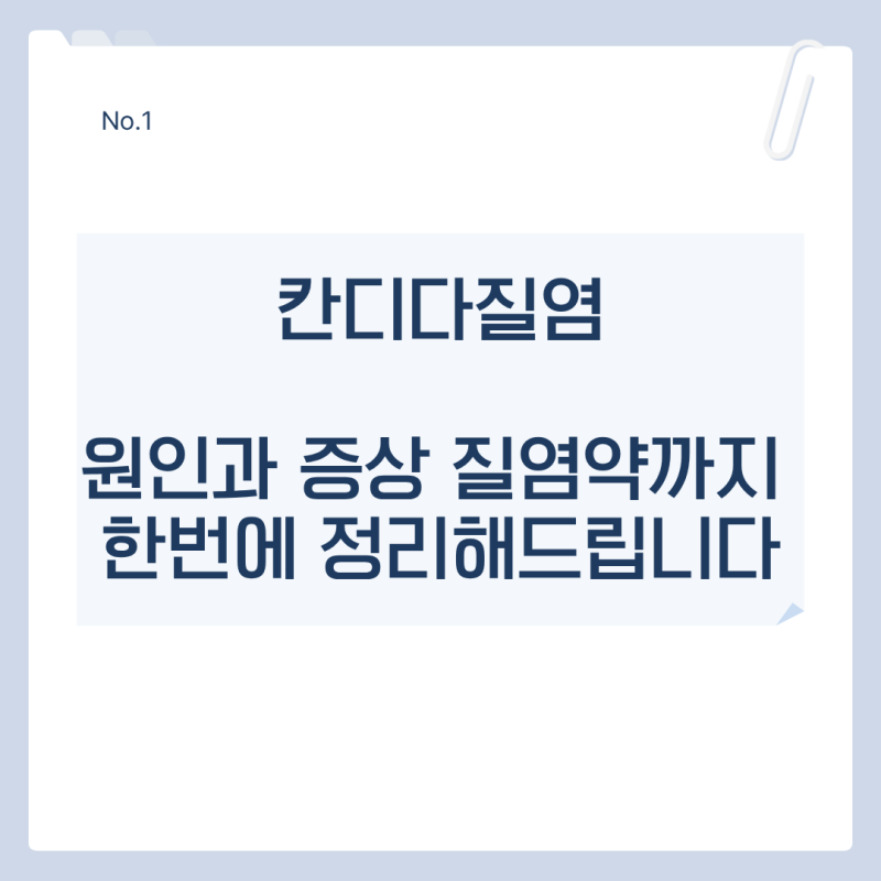 칸디다질염 원인과 증상 질염약까지 한번에 정리해드립니다