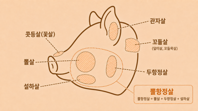 돼지머리 특수부위 7가지 이름과 식감 완벽 정리해봤어요