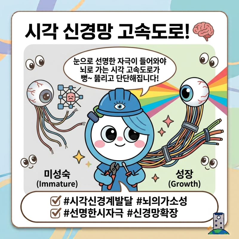약시 치료의 골든타임(만 6~8세)과 시각 신경계 발달의 원리 ⏳