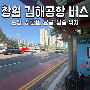 창원 김해공항 리무진 버스 시간표 타는 곳 예매 방법 요금(26년 8월 기준)
