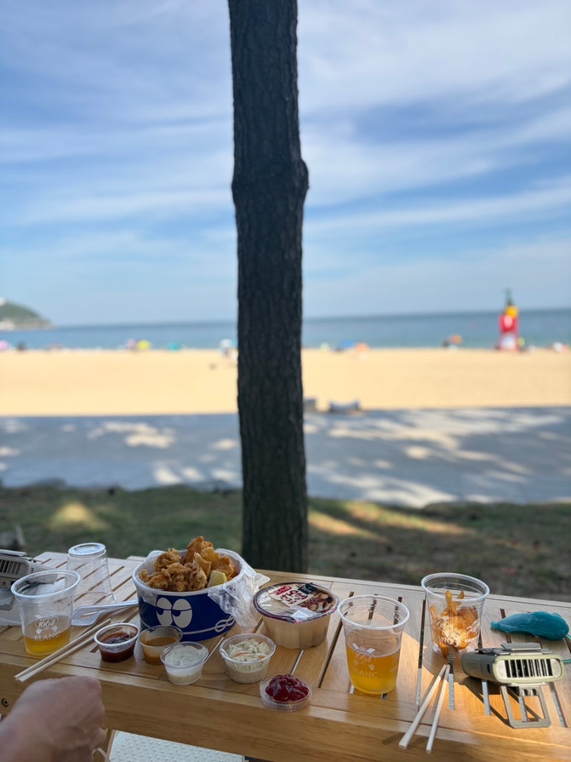 여름 부산 해운대 바다 이백배 즐기는 법! 해운대 바다 수영 꿀팁, 주차팁까지