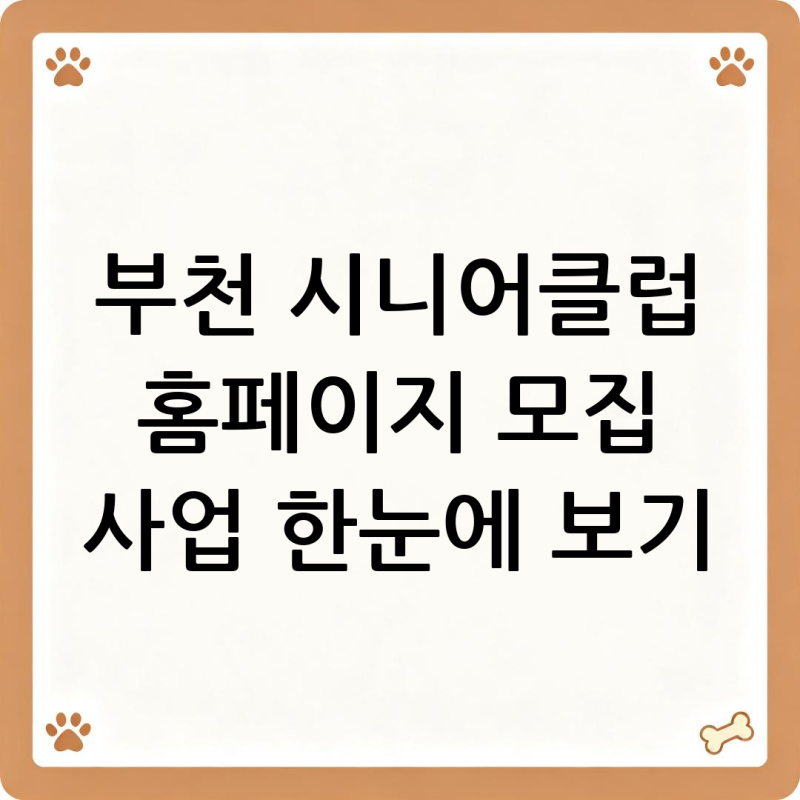 부천 시니어클럽 홈페이지 모집 사업 한눈에 보기