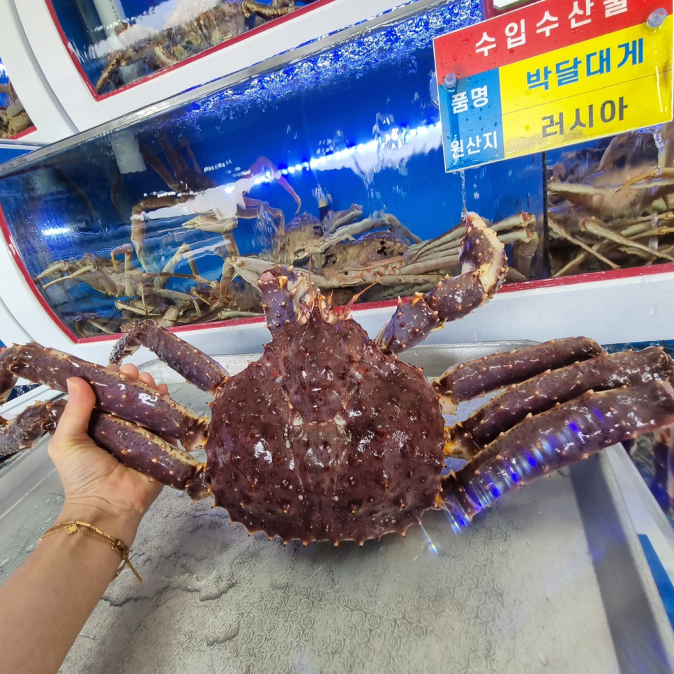 청담대게 사진 4