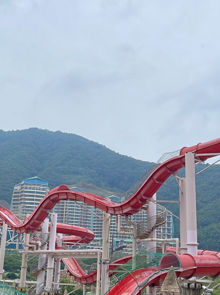 오션월드 모자 규정 헷갈리지 않게 싹 정리해드려요