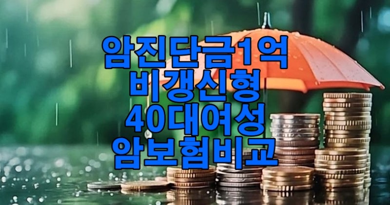 암진단금 1억 비갱신형 40대 여성 암보험 비교 설계 보장 확인 과정