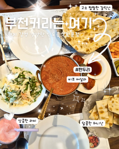 인도현지느낌 물씬나는 부천커리맛집 탄두르 후기 (feat. 진짜 인도 사장님) 🍛✨