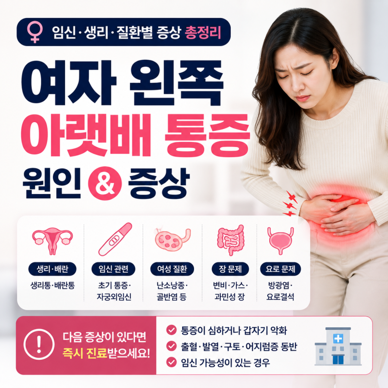 여자 왼쪽 아랫배 통증 원인｜임신·생리·질환별 증상 총정리
