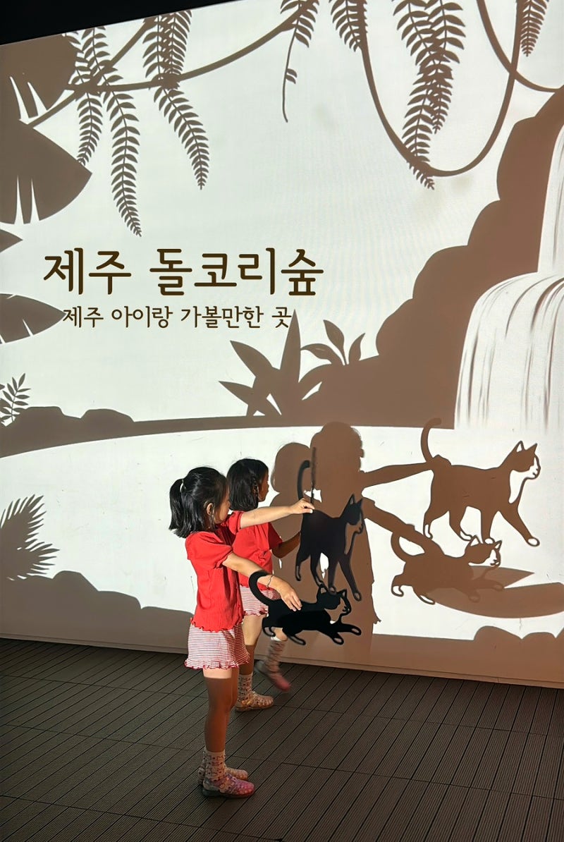 제주도 아이랑 가볼만한 곳 제주 서귀포 돌코리숲 | 제주도 비오는날 실내 관광지 추천