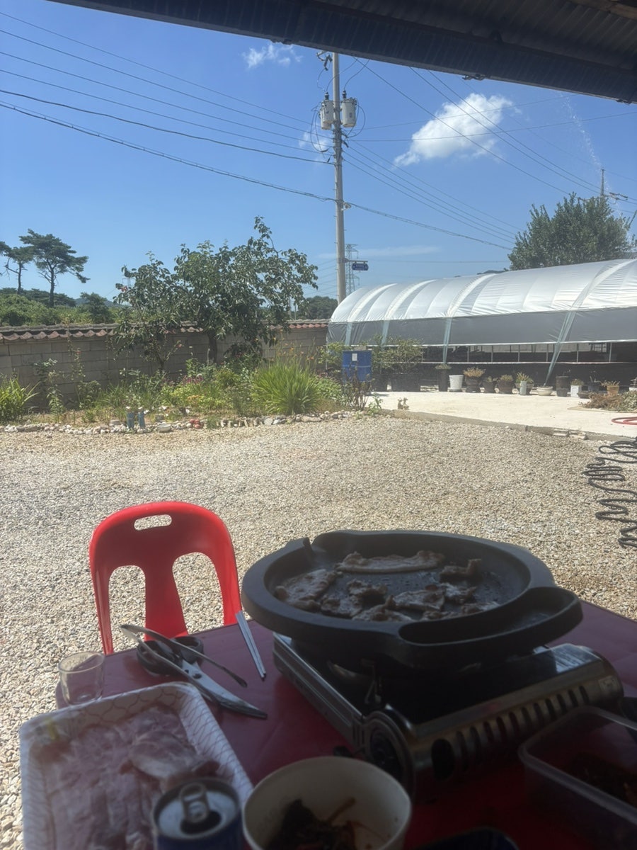 모양성 사진 2