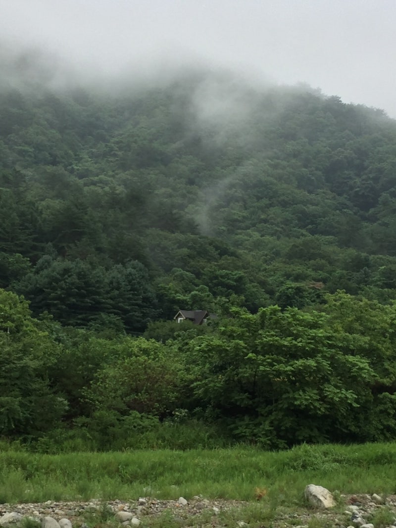 여름 강원도 캠핑 기록 .◌ㅣ설악동야영장, 해담 구룡령 야영장, 송지호 오토캠핑장