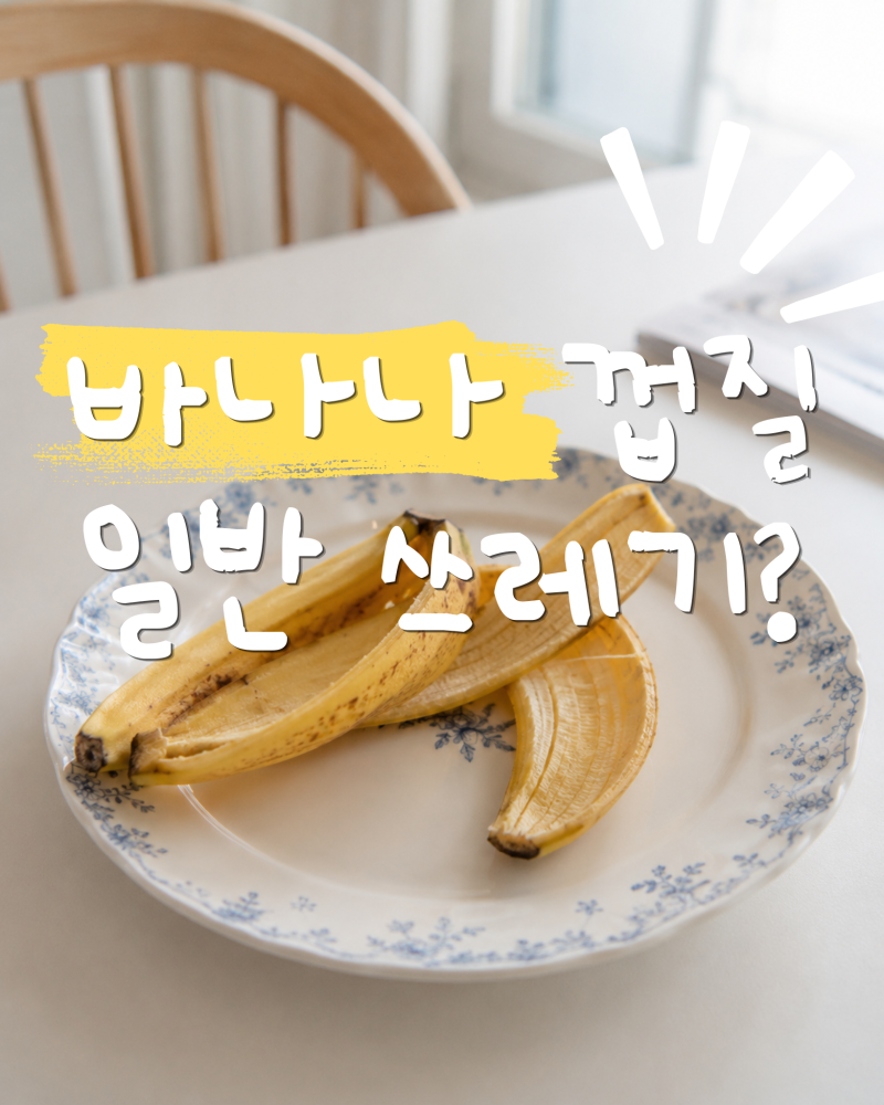 바나나껍질 음식물쓰레기일까? 일반쓰레기일까? 헷갈리는 분리배출 완벽 정리!