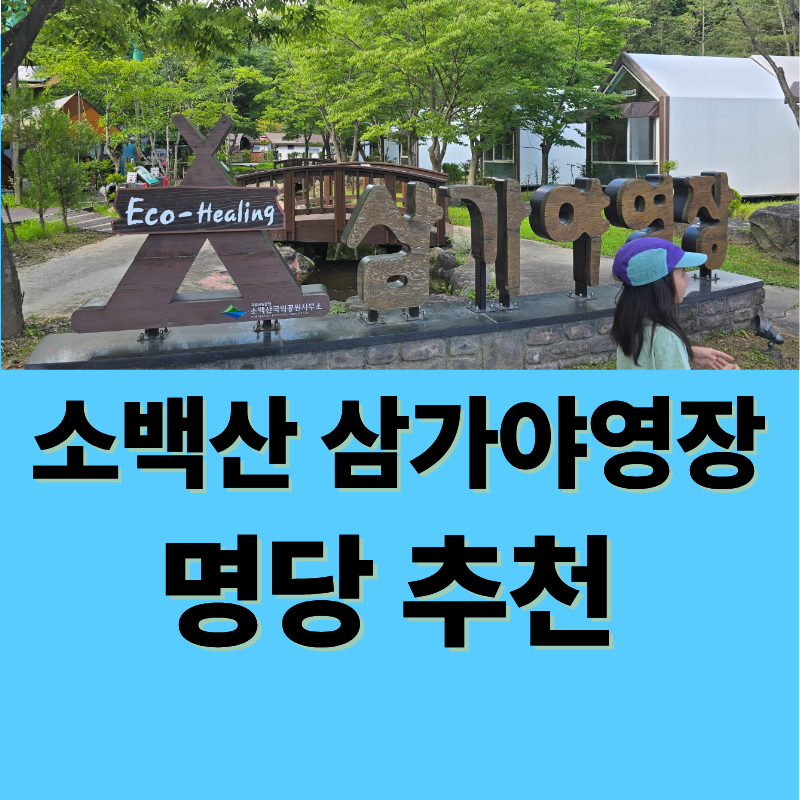영주 소백산 삼가야영장 명당추천 하우스 아이와 계곡