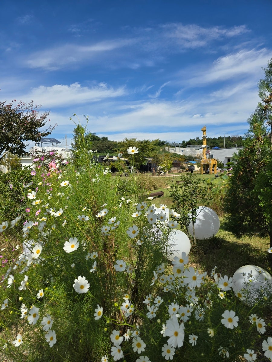 동산 사진 3