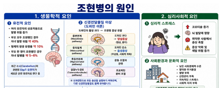 [정신간호학] 11. 조현병(정신분열증)의 원인