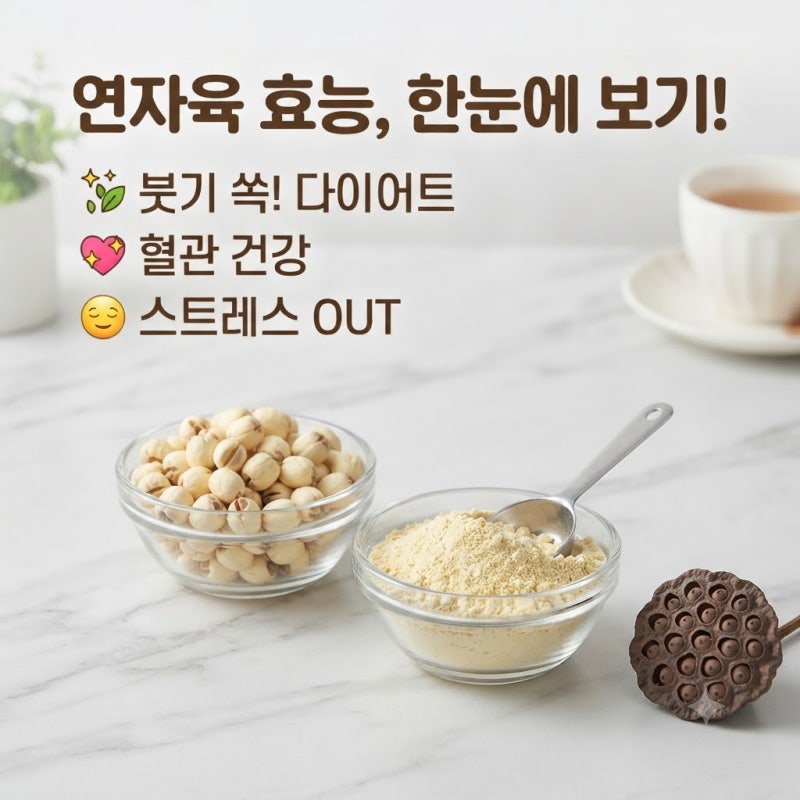 연자육 효능 4가지 먹는법 부작용 가루효능은?