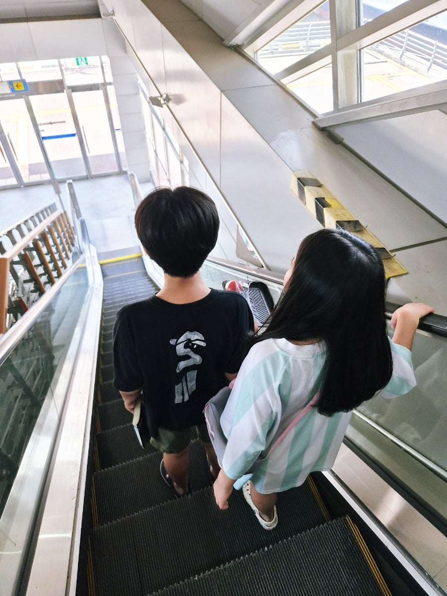 천사섬 사진 5