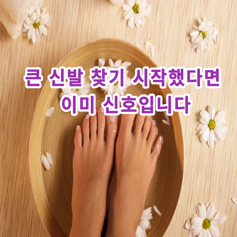 무지외반증 초기 증상 신호? 큰 신발 찾기 시작했다면... 확인해보세요.