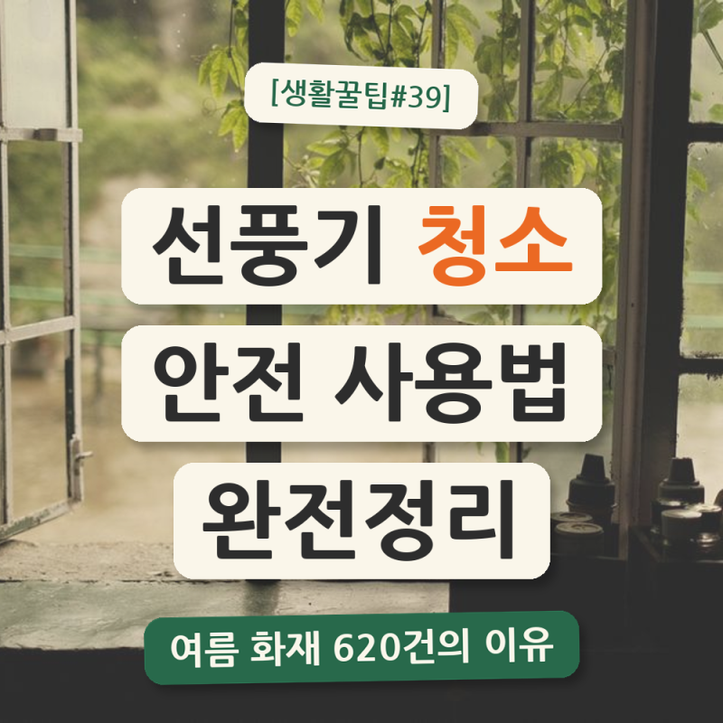 【생활꿀팁#39】 선풍기와 서큘레이터, 청소부터 안전 사용까지