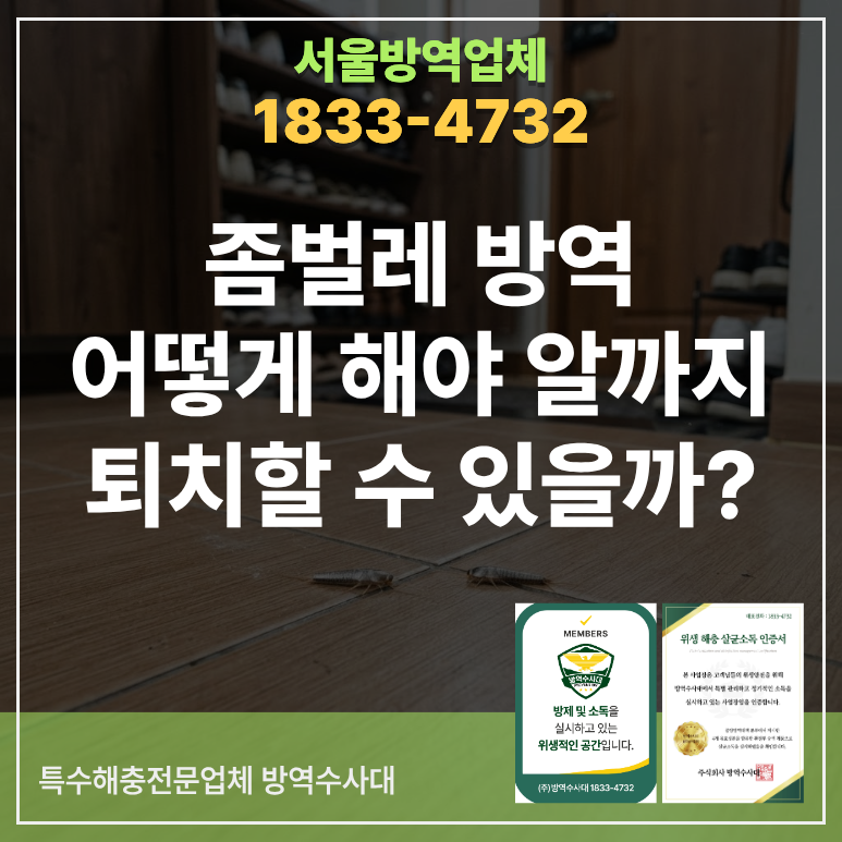 좀벌레방역, 어떻게 해야 알까지 퇴치할 수 있을까?