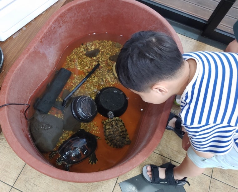 오르막가든 중문본점 사진 4