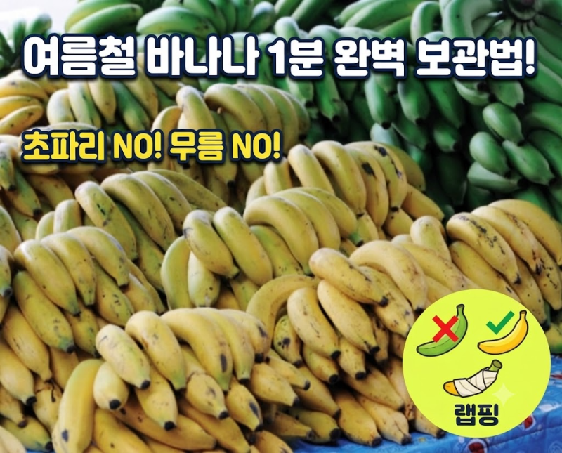 여름철 바나나 보관법, 초파리 꼬이는 이유와 1분 만에 끝내는 완벽 차단 꿀팁