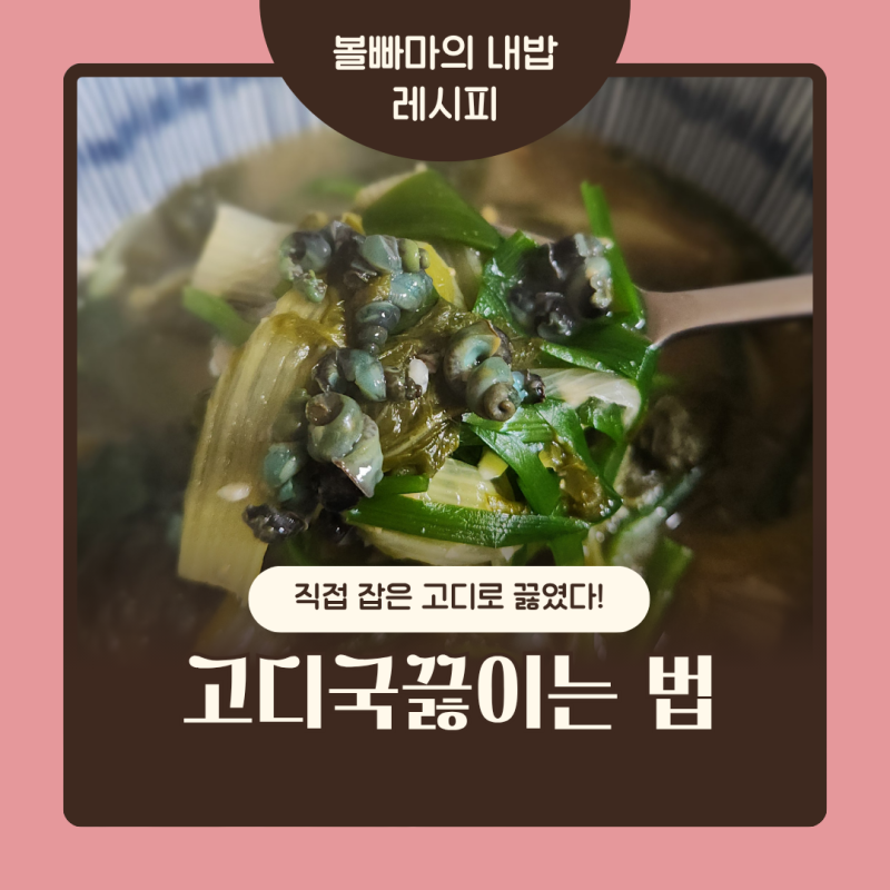 고디국끓이는법 :: 다슬기삶는시간 고디국레시피 다슬기효능