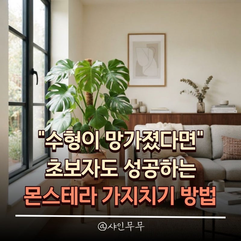 "수형이 망가졌다면" 초보자도 성공하는 몬스테라 가지치기 방법과 번식 팁