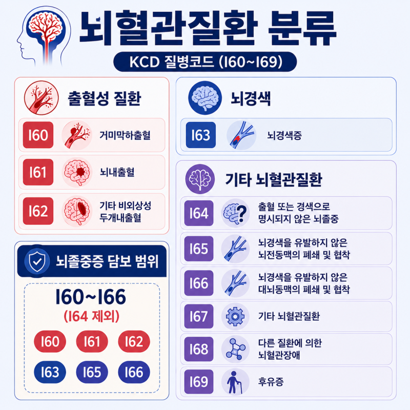 뇌혈관질환 범위와 가입 예시, 월 보험료는 어떻게 구성될까요?