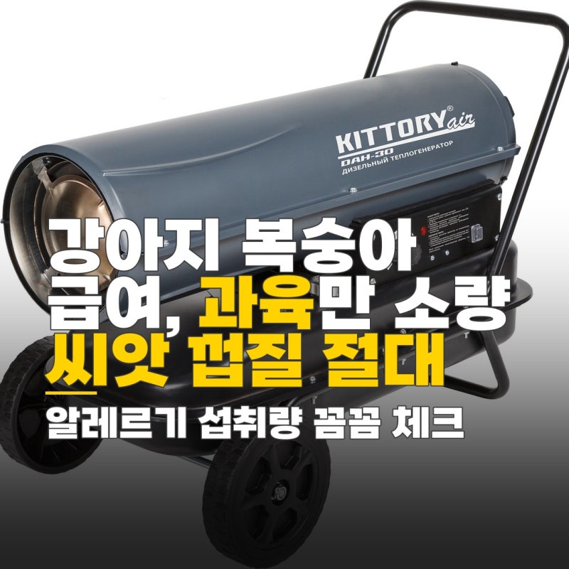 강아지 천도복숭아 먹어도 강아지 복숭아 급여, 씨앗 껍질 알레르기 섭취량 꼼꼼 체크