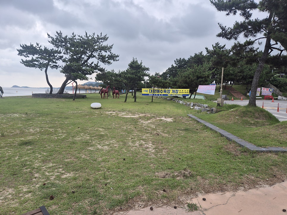 대광해수욕장 사진 4