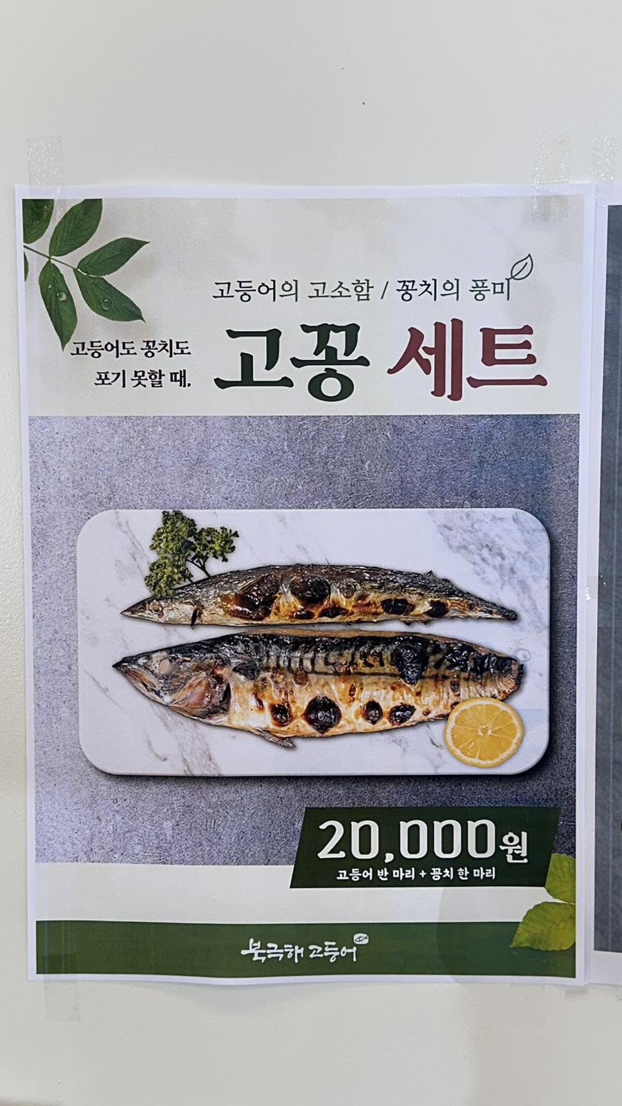 북극해고등어 속초엑스포점 사진 3