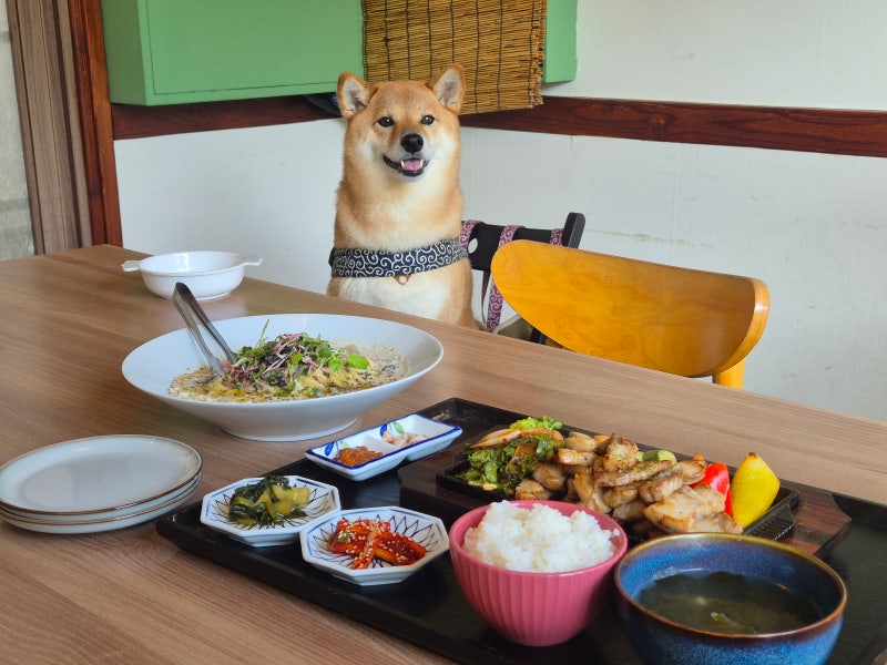 강화도 애견동반식당 농가의 식탁 데이트 코스로도 추천