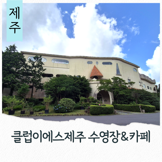 파파스브로트 사진 1