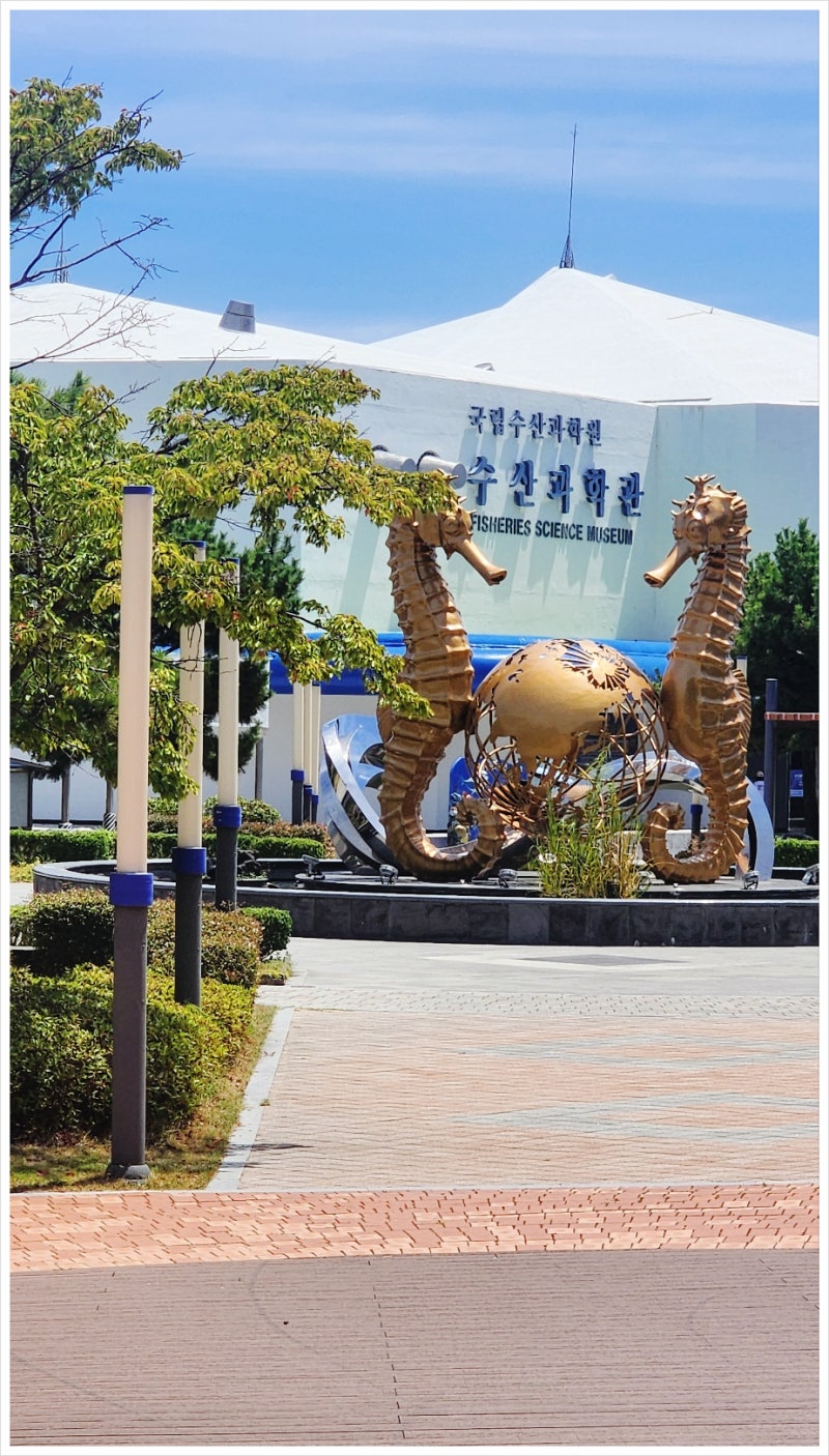 釜山機張国立水産科学館：子供と行くのに良い無料展示館レビュー（駐車場・観覧時間・展示総まとめ）