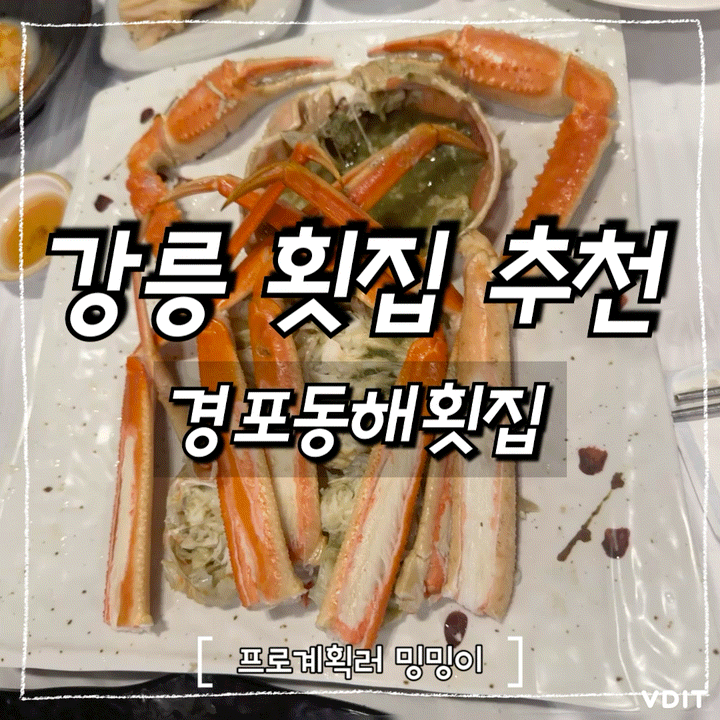 강릉 경포동해횟집 푸짐한 대게코스 후기