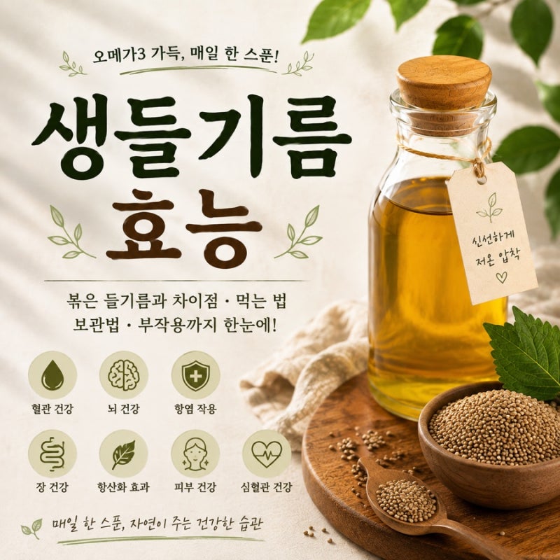 생들기름 효능, 생들기름 정말 몸에 좋을까? 볶은 들기름과 차이·먹는 법까지 총정리