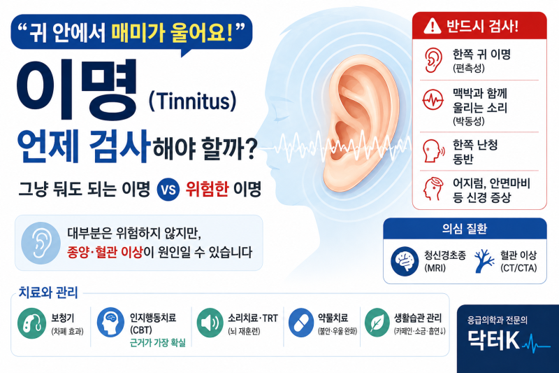 "귀안에서 매미가 울어요!" | 이명의 원인과 치료 정리