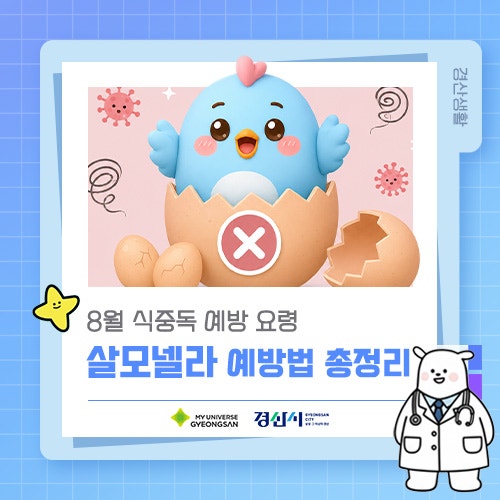 8월 식중독 예방 요령! 살모넬라 예방법 총정리