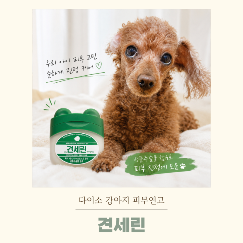 강아지 보습제 견세린, SNS핫한 헬로마이펫 다이소 강아지연고 후기