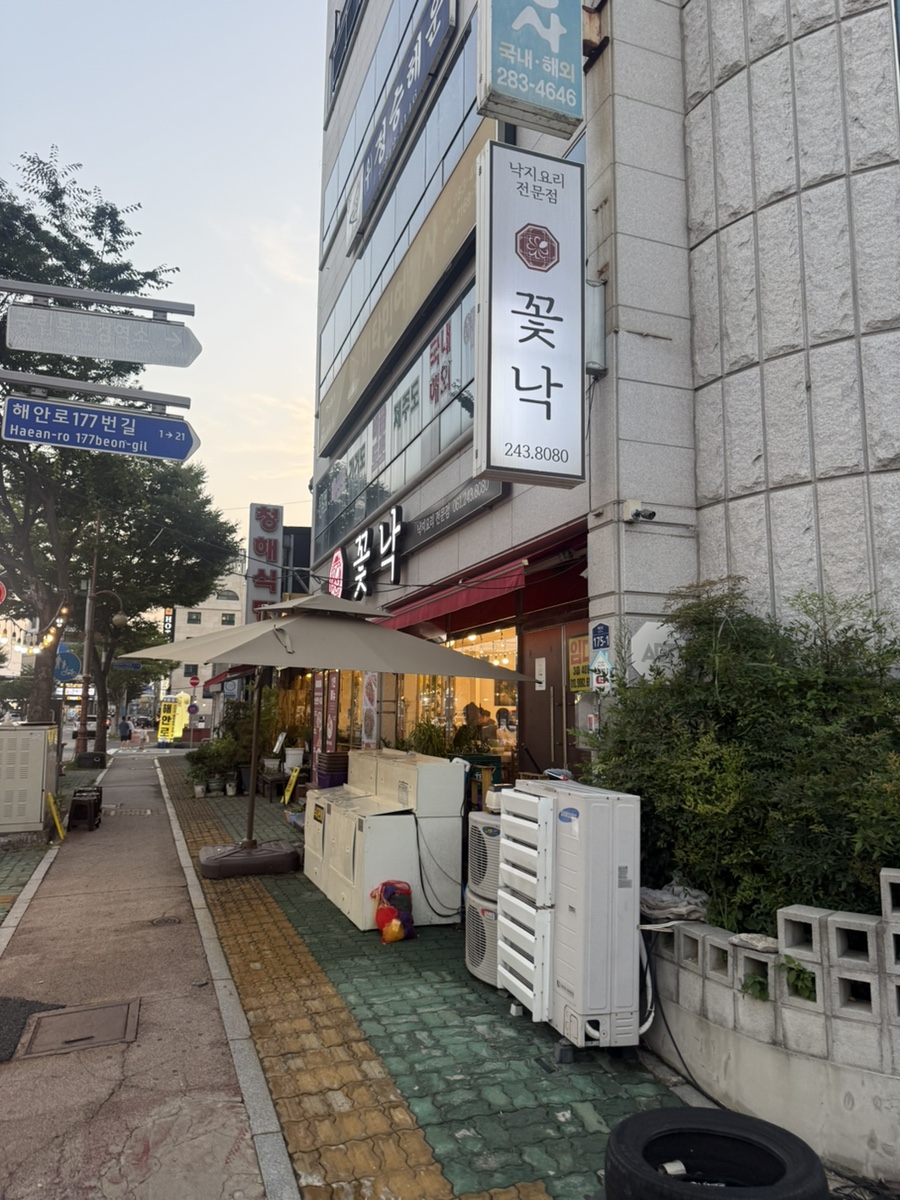 꽃낙 사진 1