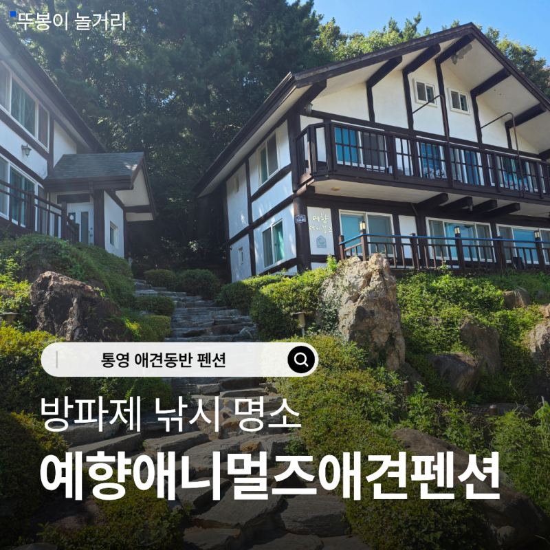 통영 애견동반 펜션 방파제 낚시 명소 예향애니멀즈