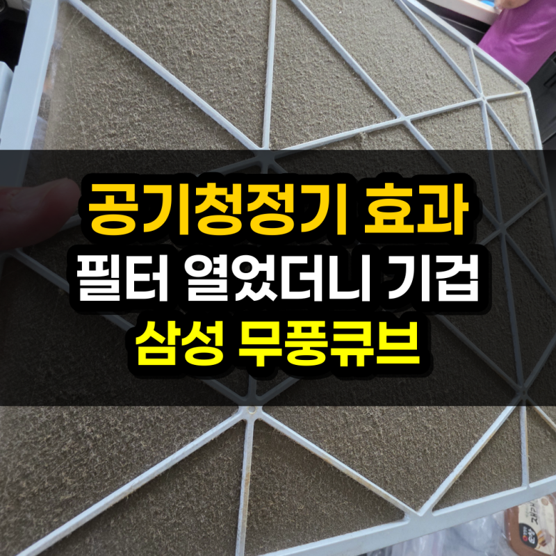 충격적인 공기청정기 효과 분명히 있다 | 기겁 수준 삼성 공기청정기 - 이거 보고 바로 다시 ....
