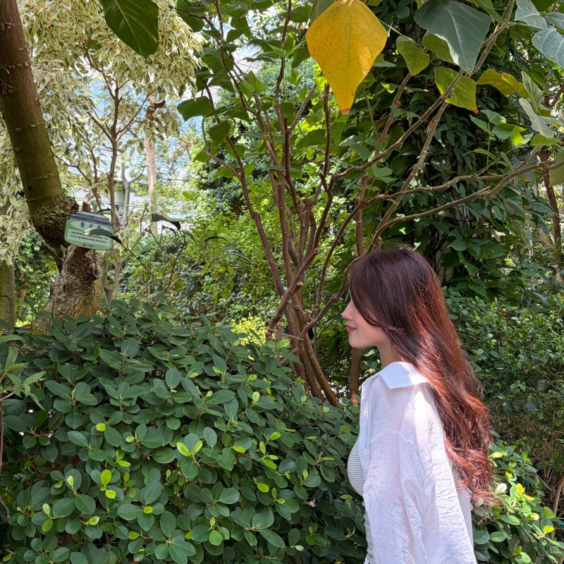 경주 8월 실내 가볼 만한 곳 동궁원 1시간 산책 코스