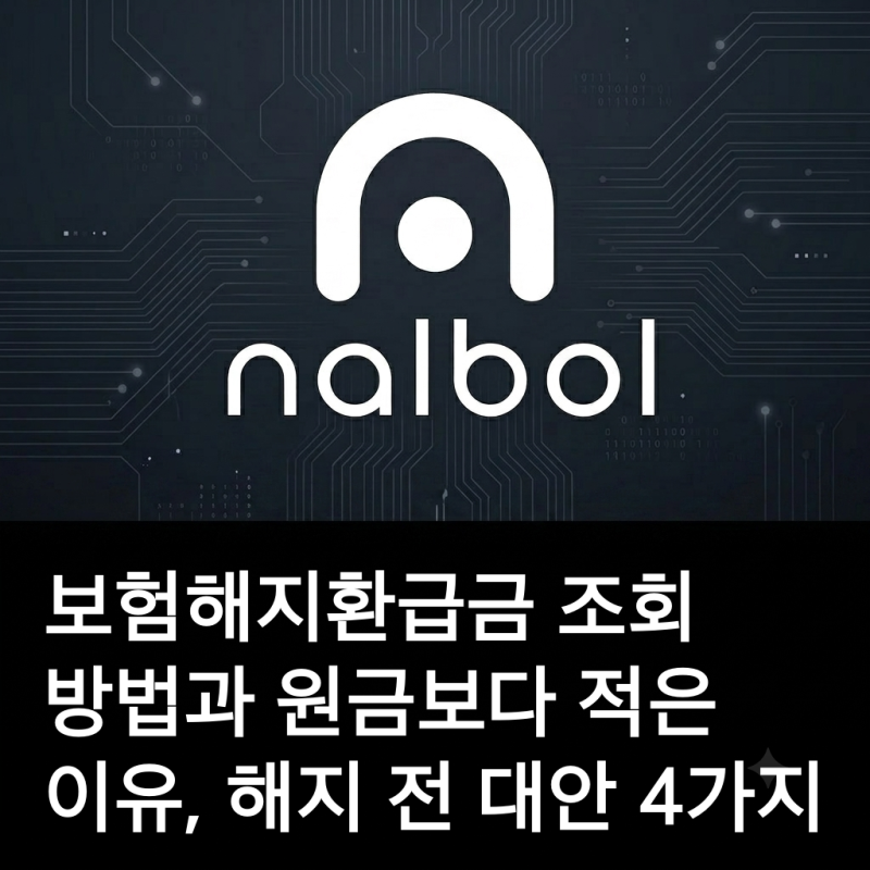 보험해지환급금 조회 방법과 원금보다 적은 이유, 해지 전 대안 4가지